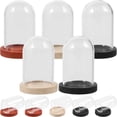 thumbnail image 4 of Miangastore 10 Sets Mini Glass Dome With Tray Clear Glass Display Case Preserved Flower Plant Display Cloche, 4 of 8