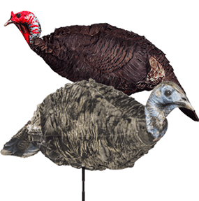 miss purrfect cat treats