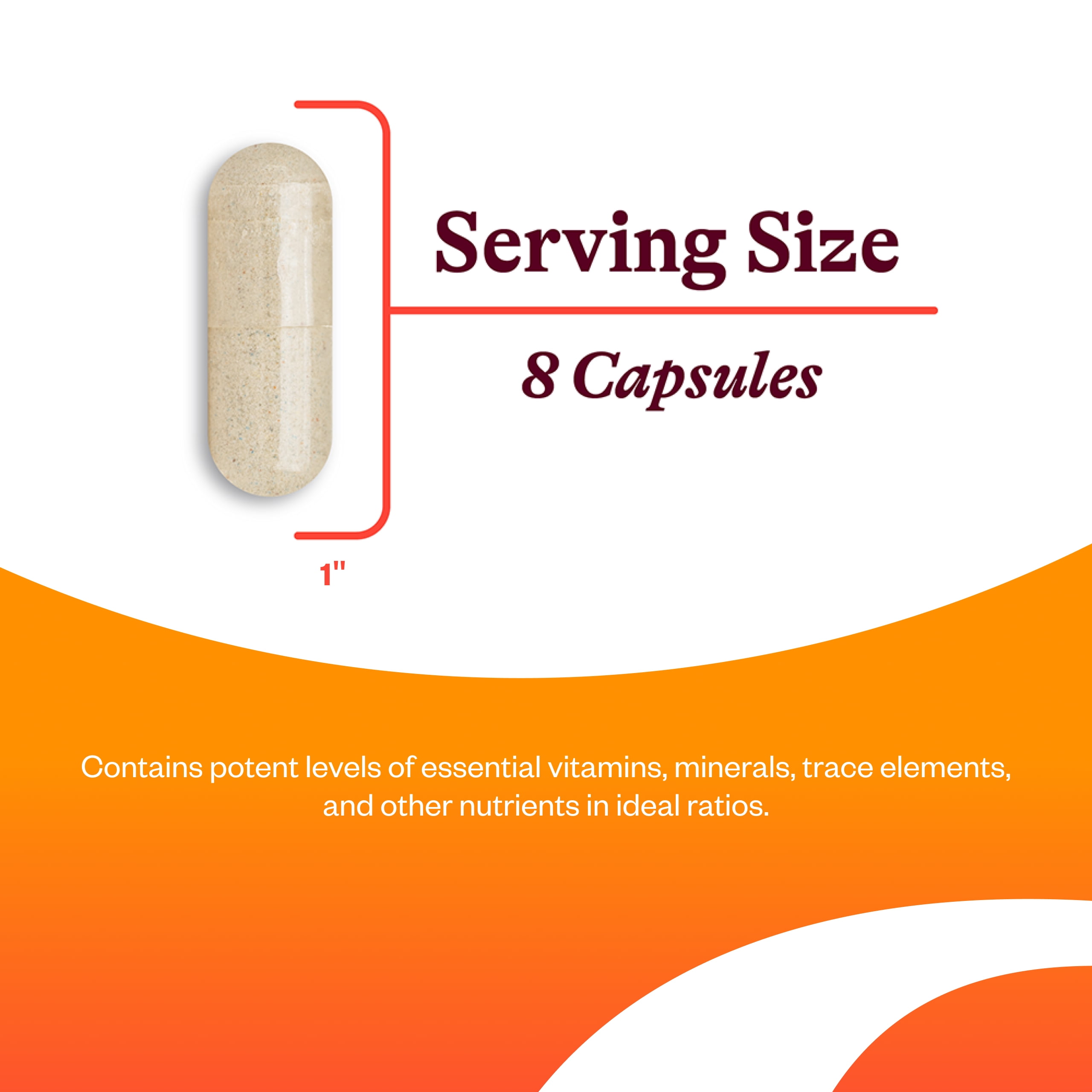 Seeking Health Optimal Multivitamin, Active B Vitamins and L-5-MTHF, Riboflavin, B6, Bioavailable Folate and B12, CoQ10, Methylation Support, Vegetarian (240 Capsules)