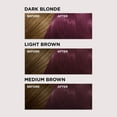 thumbnail image 3 of L'Oréal Paris Colorista Semi Permanente Hair Color, 3 of 7