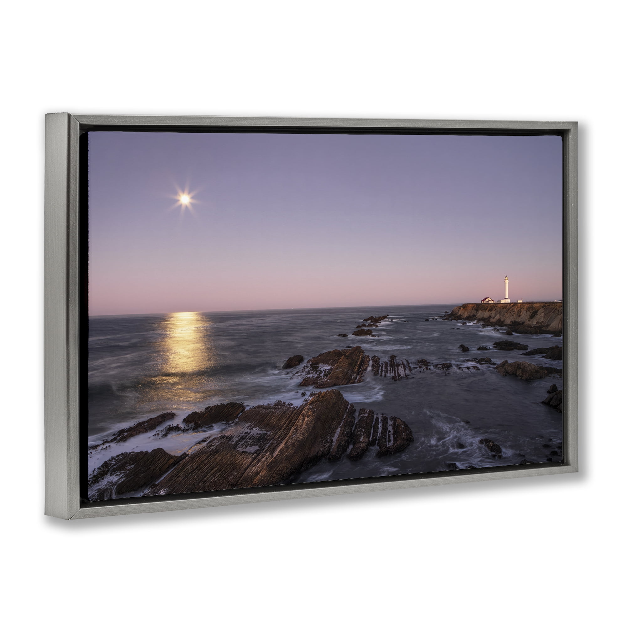 Stupell Industries Moon Arena Coastline Gray Framed Floater Canvas Wall Art, design by Shelley Carlisle