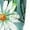 Mint Green, variant on Plus Size Women's Cropped Pants Elastic Waist Floral Print Breathable Sports Pants Size L(8)Mint Green