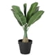 thumbnail image 1 of Cateissary Árbol tropical falso verde con bajo mantenimiento y hoja de imitación ecológica para interiores o exteriores Decoración Plátano, 1 of 6