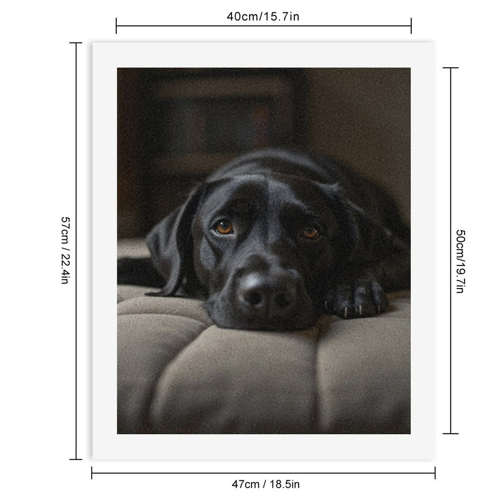 Paint By Numbers Kit for Adults Beginner - DIY Black Labrador Dog Relaxing Canvas Painting Kits for Adults, Frameless Paint By Number for Adults for Home Wall Decor 16x20 Inch