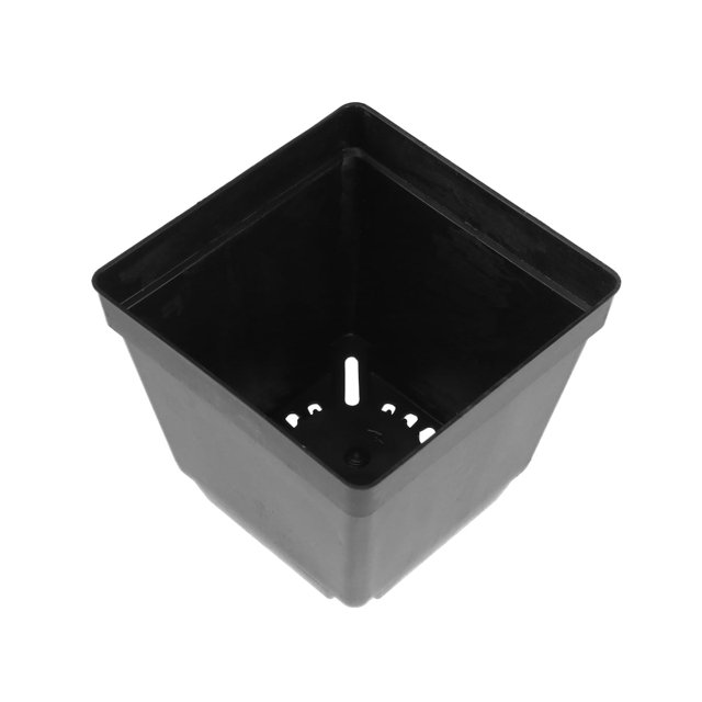 20 macetas cuadradas de plástico carnoso para plantas, suculentas, cactus y bonsáis (negro)