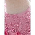 thumbnail image 5 of Bagilaanoe Toddler Baby Girls Formal Dress Sleeveless A-line Princess Dresses 6M 12M 18M 24M 3T 4T 5T Kids Flower Tulle Dress for Wedding Birthday Party Gown, 5 of 7