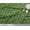 Forest Green, variant on Soimoi Brown Cotton Duck Fabric Leaves & Clover Floral Decor Fabric Printed Yard 42 Inch Wide