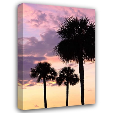 Alan Hausenflock 17x24 Gallery Wrapped Canvas Wall Art Titled - San Marcos Sunset VI