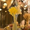 thumbnail image 3 of 50 Piece Rabbit Tail Grass Bunny Tails Dried Flowers Plant Stems, 3 of 3