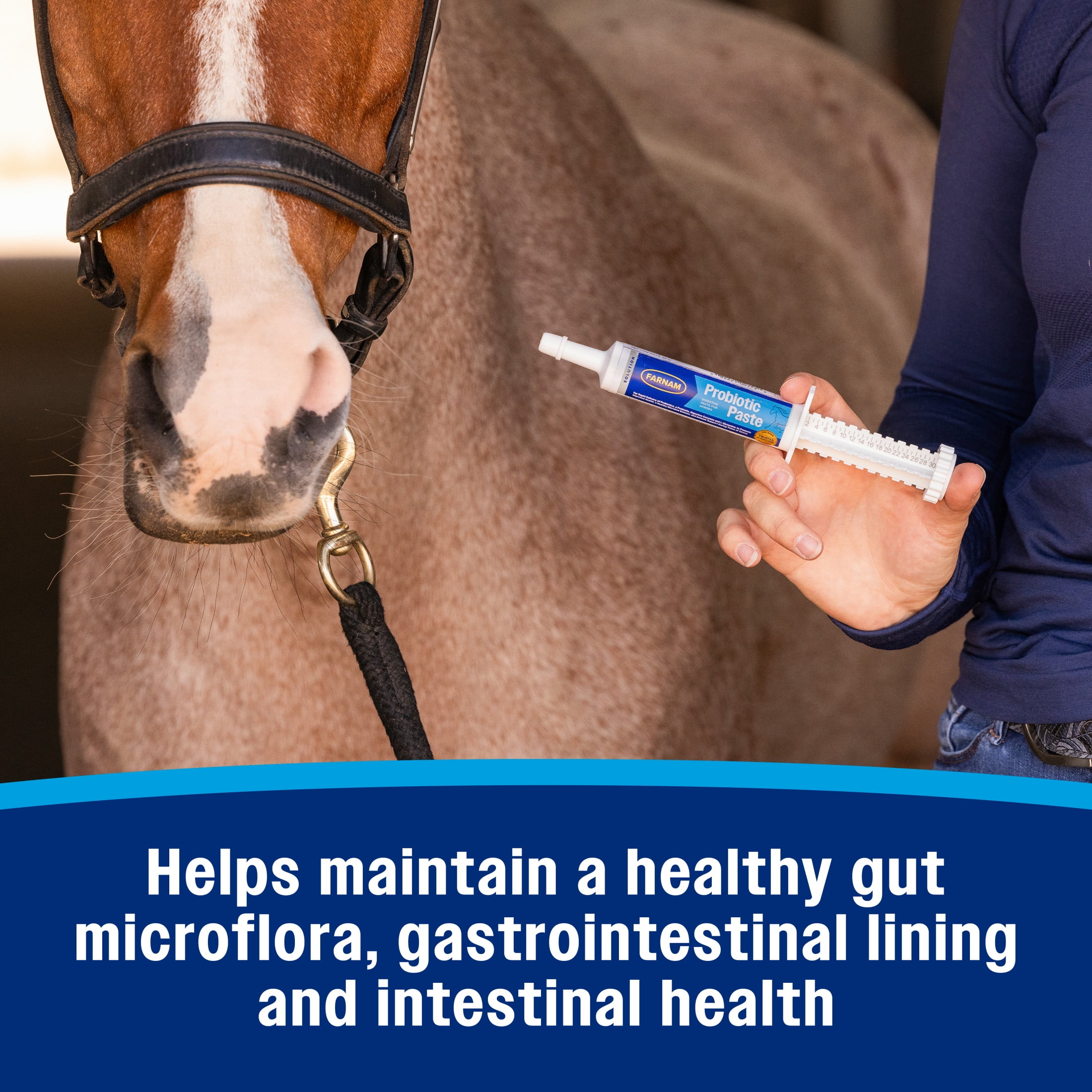 (4 pack) Farnam Probiotic Paste for Horses 30 grams
