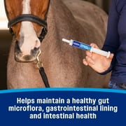 Farnam Probiotic Paste for Horses 30 grams