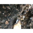 thumbnail image 3 of Grayscale 18x15 Black Modern Framed Museum Art Print Titled - Blacktop II, 3 of 5