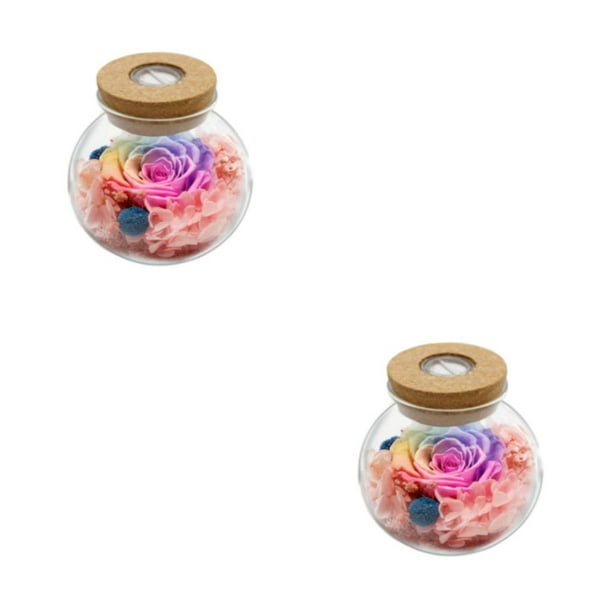 Injueey Flor eterna luminosa: exquisitas luces de colores autoajustables y flores verdaderas vivirán Type4 NO4