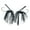 Black and Black, variant on Tungsten Football Head Jig