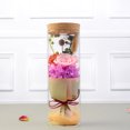 thumbnail image 4 of Real Eternal Flower Wishing Bottle Lamp with Remote Control LED Night Light Gift for Xmas New Year, 4 of 5
