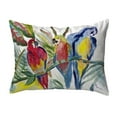 thumbnail image 2 of Betsy Drake KS217 11 x 14 in. Parrot Family Small No-Cord Pillow, 2 of 2