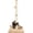 Basic Cat Post, variant on Cat Scratching Posts Tree for Indoor Cats Adults