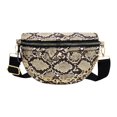 thumbnail image 2 of Bolso cruzado con estampado de serpiente para mujer, paquete de cadena para la cintura, bolso de hombro (beige) Tmvgtek Para estrenar, 2 of 6