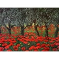 thumbnail image 2 of Marzari, Tebo 24x19 Black Ornate Wood Framed with Double Matting Museum Art Print Titled - Papaveri sotto gli ulivi, 2 of 4