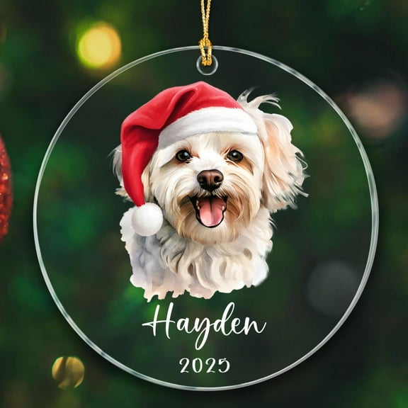 Personalized Maltese Dog Christmas Ornament 2025, Maltese Xmas Ornament Gift for Maltese Dad/Maltese Mom, Unique Maltese Keepsake Ornaments, Customized Year & Name Maltese Dog Lover Xmas Ornaments
