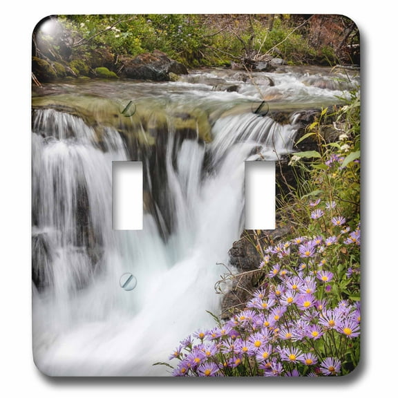 3dRose, Leafy aster along Baring Creek in Glacier National Park, Montana, USA, double toggle switch