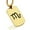 Gold, variant on Stainless Steel Scorpio Zodiac Sign (Scorpion) Dog Tag Pendant Necklace