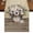 White Dark Gray Beige, variant on Table Runners 60 Inches Long Dress Scarves, Farmhouse Flowers Farmhouse Kitchen Table Runner, Small Coffee Tablerunners, Retro Floral Leaves Country Wood Board 13x60 Inch