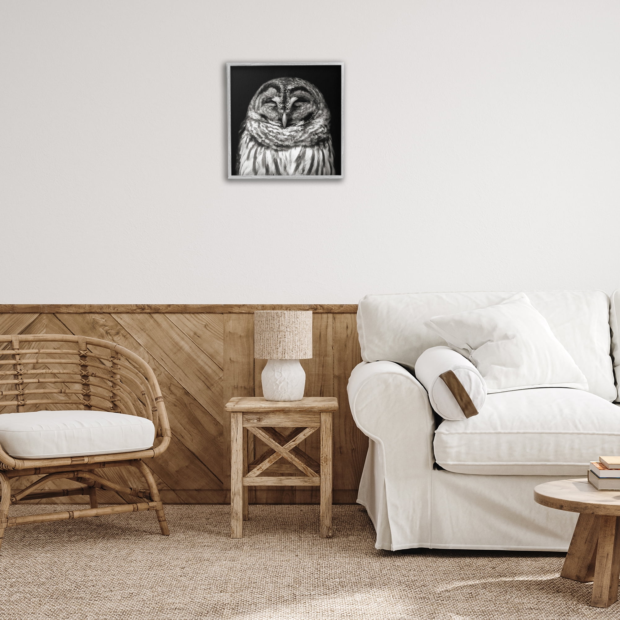 Stupell Industries Sleeping Owl Portrait Animals & Insects Photography Gray Framed Art Print Wall Art, 17 x 17