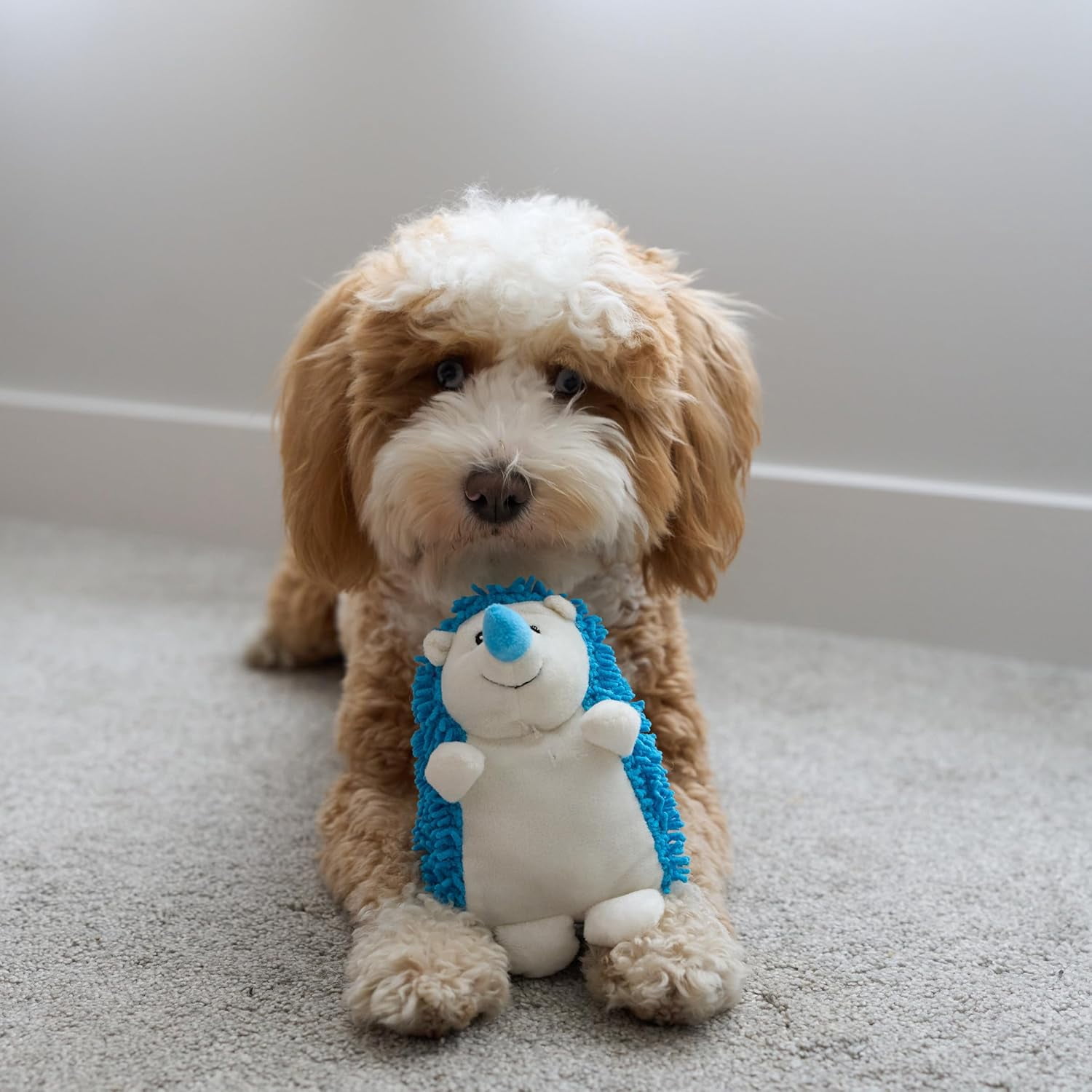 SPOT Gigglers Hedgehog Dog Toy with Giggle Sound for Small and Medium Breeds