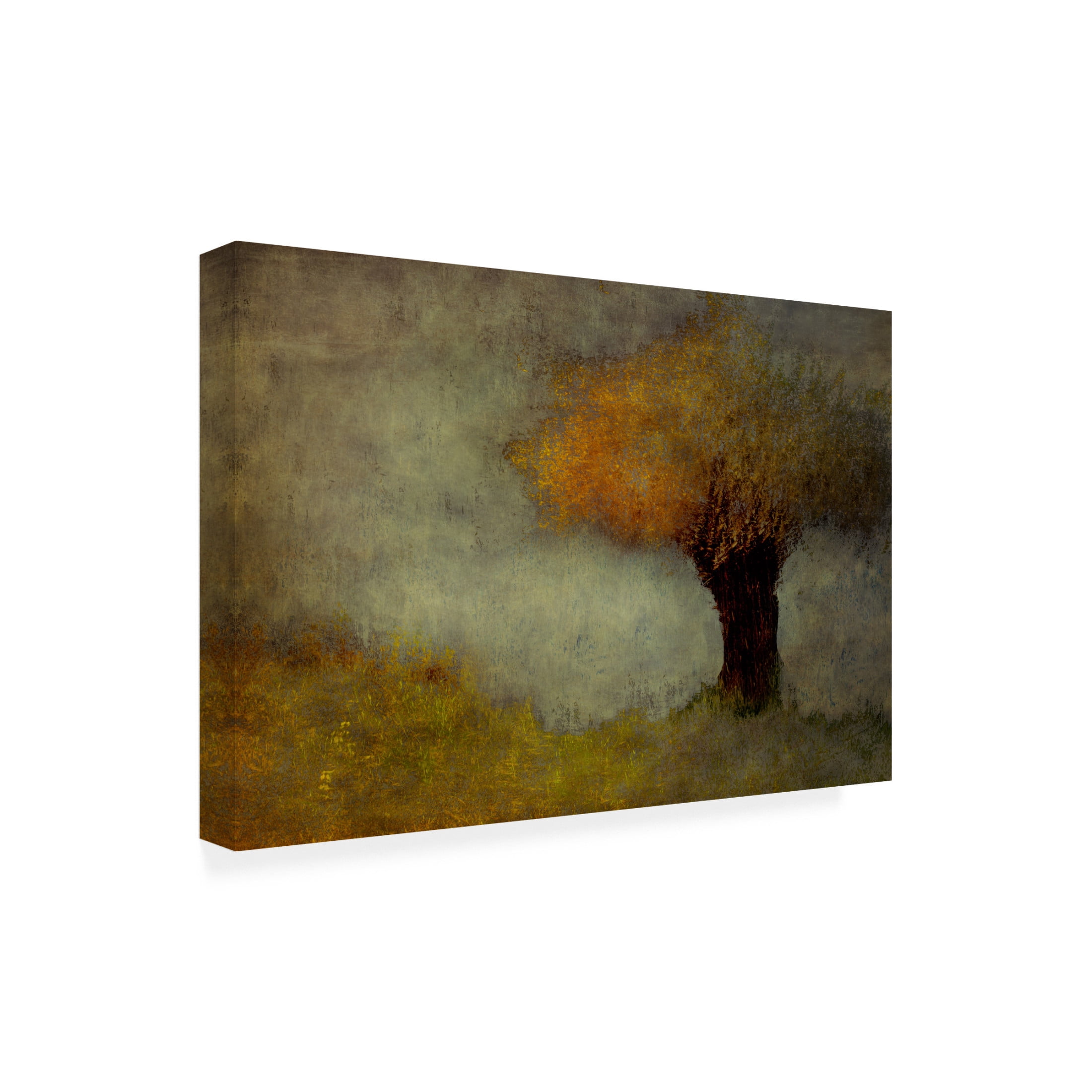 Canvas Wall Art - Adam Dauria 'Willow' Wall Art for Living Room, Bedroom, or Office Décor by Trademark Fine Art - 47 x 30 Inches
