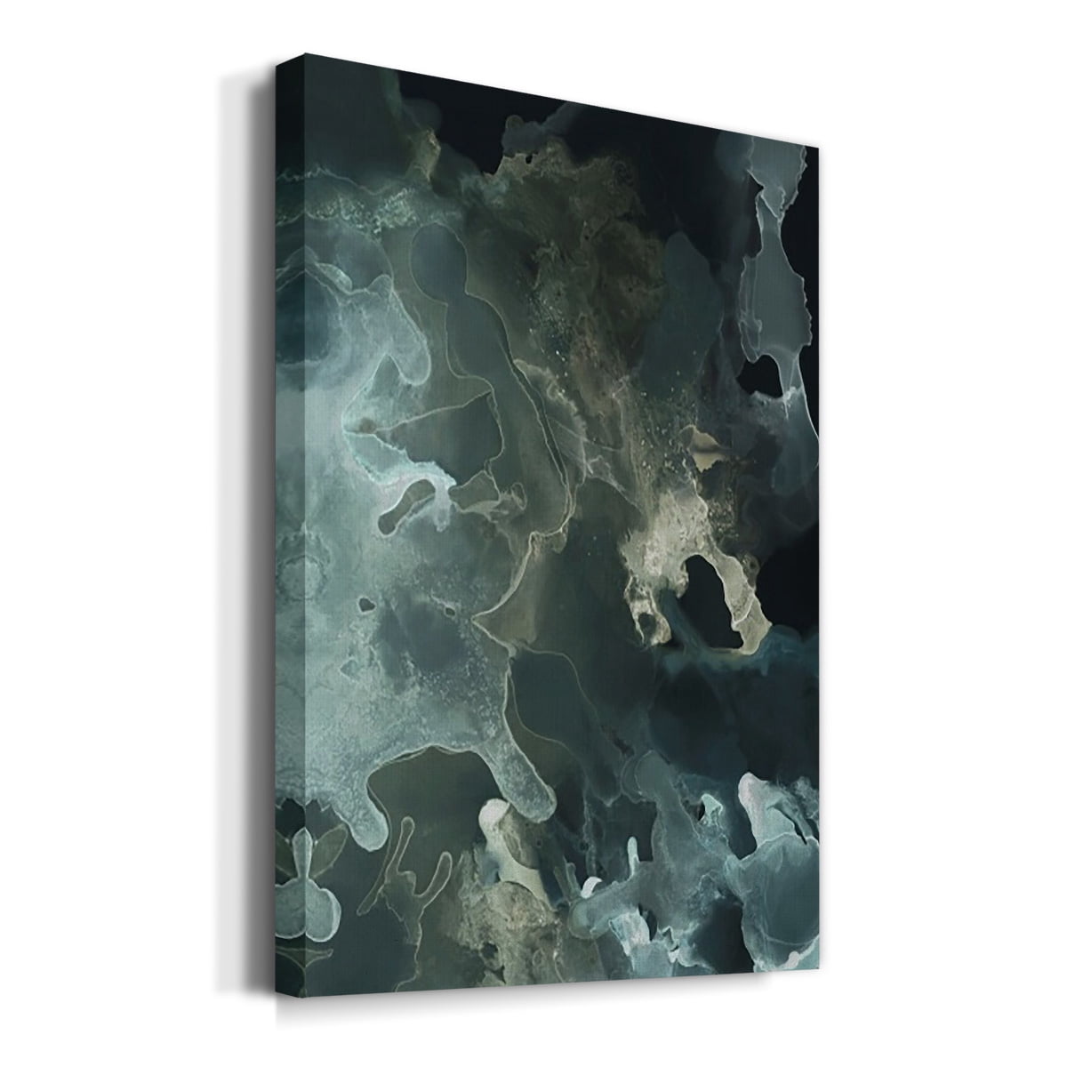Gilded Spector I Premium Gallery Wrapped Canvas - Ready to Hang