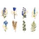 thumbnail image 1 of Conjunto de pegatinas de mosaico dorado conmemorativo transparentes para monopatín, equipaje, portátil y clip., 1 of 5