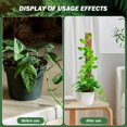 thumbnail image 2 of SURJDE Monstera Plant Support,2Pcs Monstera Plant Support 15.7" Plastic for Plants Monstera, Stackable Plant Support Stakes for Climbing Plant Help Plants Grow Upwards,Plan, 2 of 5