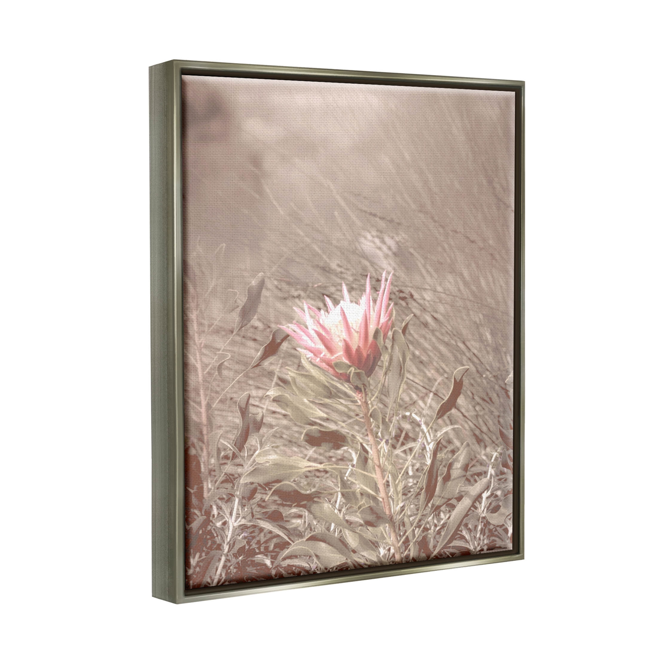 Stupell Industries Lone Pink Flower Grassland Photograph Luster Gray Floating Framed Canvas Print Wall Art, Design by Lil' Rue