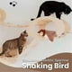 thumbnail image 3 of Viralhuntz Cat Toy Bird, Flappy Perry Bird Cat Toy, Interactive Cat Toy, 3 of 4