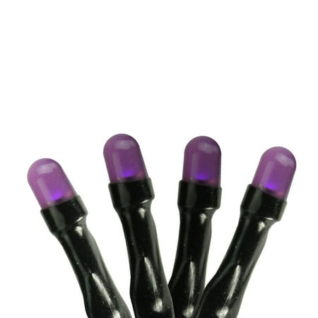 Set of 15 Purple Micro LED Halloween Lights -  Black Wire