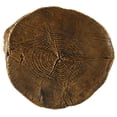 thumbnail image 3 of Home Square Resin Wood End Table Stool in Gold Finish - Set of 2, 3 of 5
