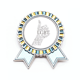 thumbnail image 1 of LGBT bandera del arco iris grandes Insignia broche Medalla ganadora, 1 of 3