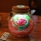 thumbnail image 4 of EeaseMX Botella de deseos de rosa hecha a mano, flor eterna que nunca se marchita, con luz LED de 7 colores, regalo para San Valentín, Día de la Madre, aniversario, cumpleaños, boda (rosa), 4 of 4