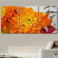 thumbnail image 2 of wall26 Canvas Print Wall Art Set Orange &amp; Yellow Chrysanthemum Flowers Floral Botanical Photography Modern Art Rustic Scenic Colorful Ultra for Living Room, Bedroom, Office - 24"x36"x3, 2 of 5