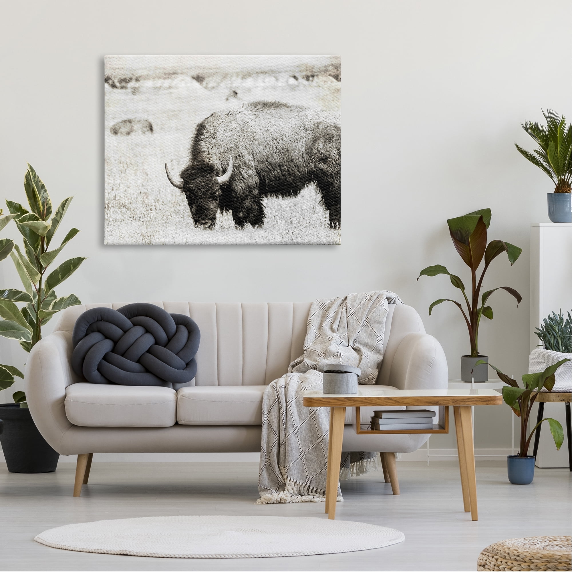 Stupell Industries Farmland Country Bison Bull Grazing Pasture Monochrome Canvas Wall Art, 48 x 36, Design by Daniel Sproul