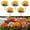 Yellow, variant on Artificial Daisy Flower Stems, 5 Pack, 12.6 x 5.91 in, Decorative Accent for Living Room, Bedroom, Shelf and Tabletop Display