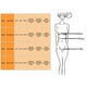 thumbnail image 3 of Mujeres Bandeau Bandage Bikini Set Push-Up Traje de baño brasileño Ropa de playa Traje de baño Fridja nalpqowj54214, 3 of 3