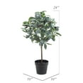 thumbnail image 5 of The Mod Greenhouse Artificial Green Olive Tree in a Black Matte Planter Pot 36, 5 of 5