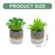thumbnail image 2 of Mini suculentas de simulación en maceta, adornos creativos de moda, plantas verdes artificiales, 2 uds., 2 of 5