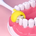 thumbnail image 5 of 3 piezas - Cepillo de dientes para autismo de 3 caras Tres cerdas para niños con necesidades especiales Cerdas suaves y suaves Limpie cada diente para cubrirlo completamente, 5 of 5
