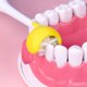 thumbnail image 5 of Cepillo de dientes para autismo de 3 caras BRILLAR 3 piezas Rojo Verde, 5 of 5