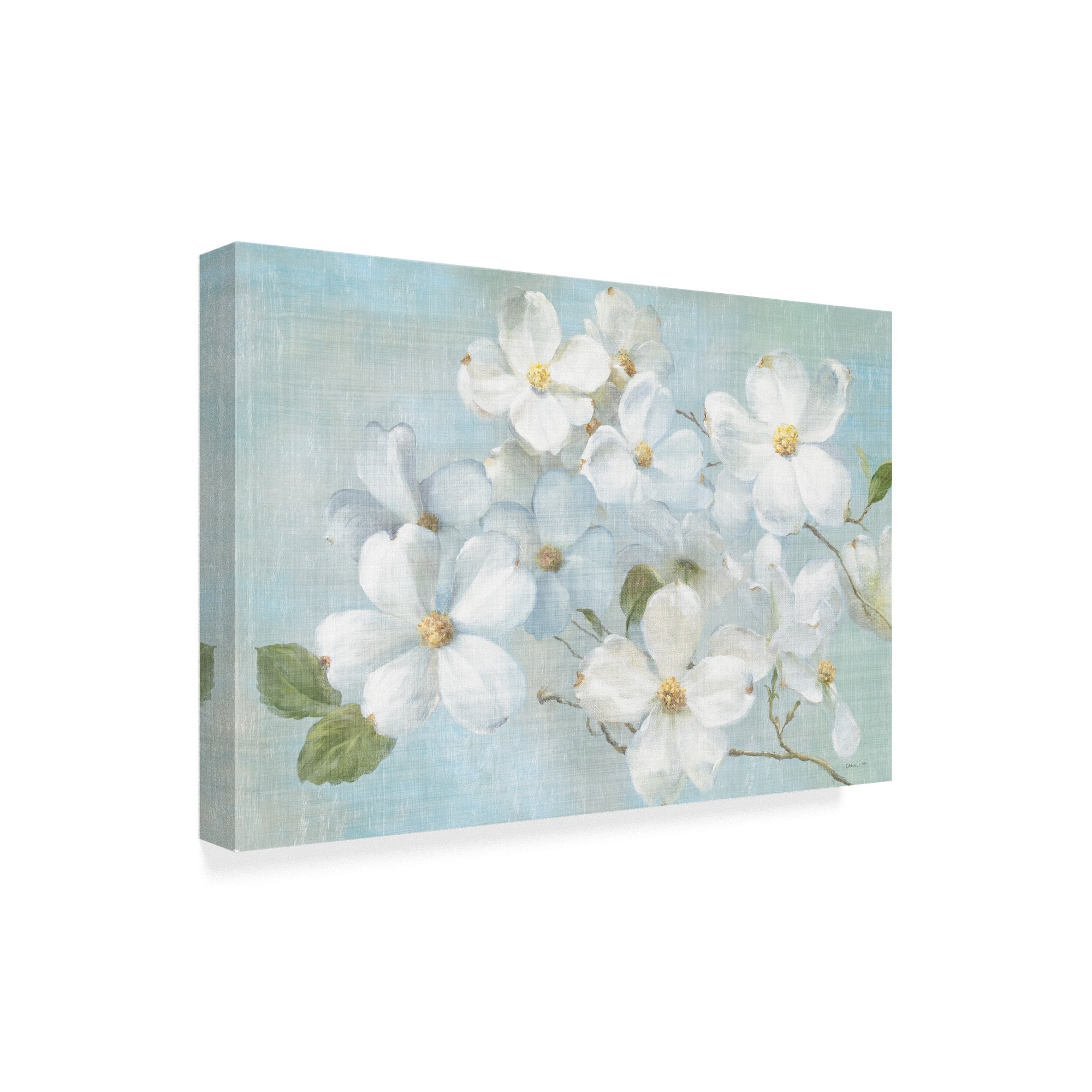 Trademark Fine Art 'Indiness Blossoms Light' Canvas Art by Danhui Nai
