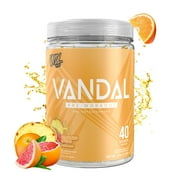 VNDL Project Vandal | Pre Workout Powder - Safe Nootropic Pre Workout Supplement for Men & Women | Boosts Energy, Focus, Performance & Recovery | Nitric Oxide Booster for Blood Flow | 40 Servings (Squeezed Citrus)