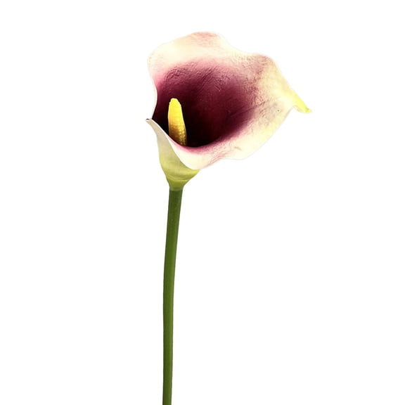 Riguas Artificial Common Calla Lily Realistic Fake Flower Stem Home Office Wedding Party Indoor Outdoor Faux Bloom Centerpiece Decoration
